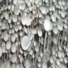 Blue Meanie Mushroom Spores – Mushroom Spore Syringe