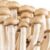 White Teacher Mushroom Strain – Cubensis Spores