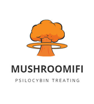 Buy Mushroom Chocolate Bars online