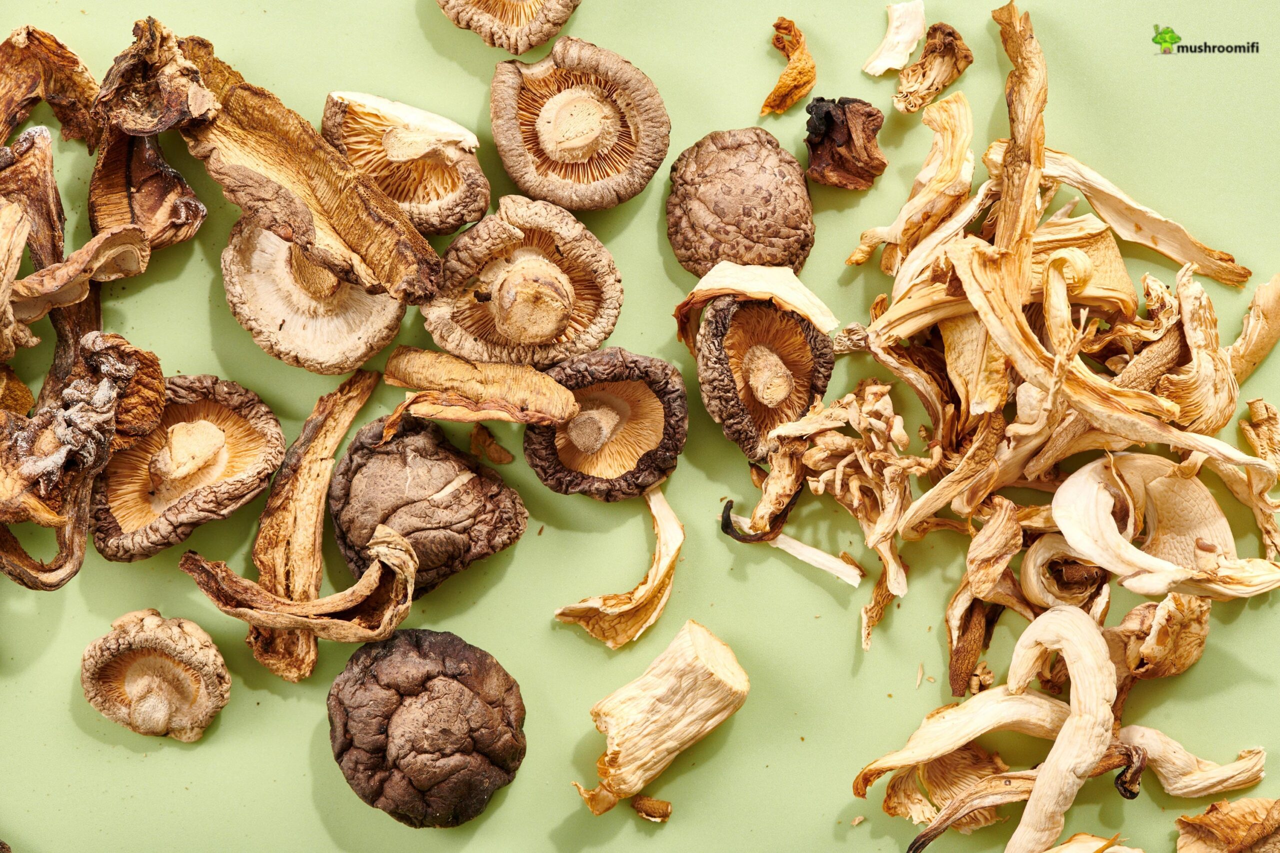 Why use dried mushrooms instead of fresh?